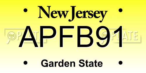 APFB91 New Jersey License Plate