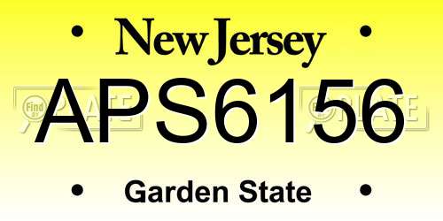 APS6156 New Jersey License Plate