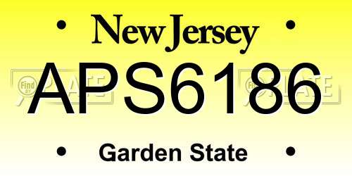 APS6186 New Jersey License Plate