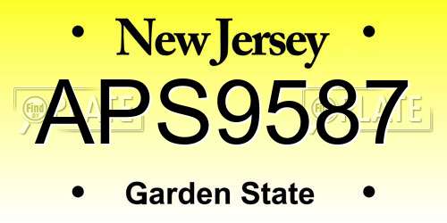APS9587 New Jersey License Plate