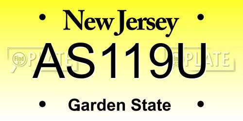AS119U New Jersey License Plate