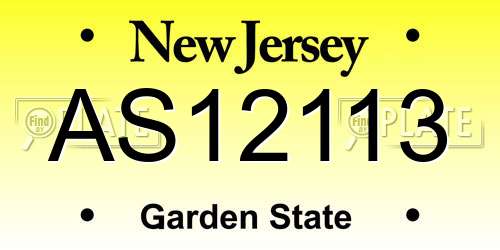 AS12113 New Jersey License Plate
