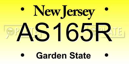AS165R New Jersey License Plate