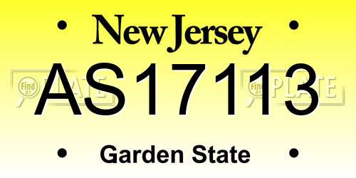 AS17113 New Jersey License Plate