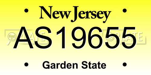 AS19655 New Jersey License Plate