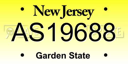 AS19688 New Jersey License Plate