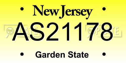 AS21178 New Jersey License Plate