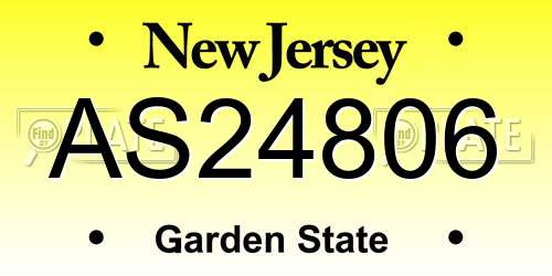 AS24806 New Jersey License Plate