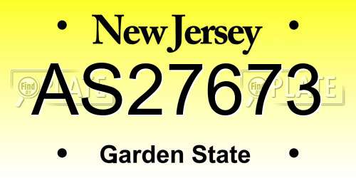 AS27673 New Jersey License Plate