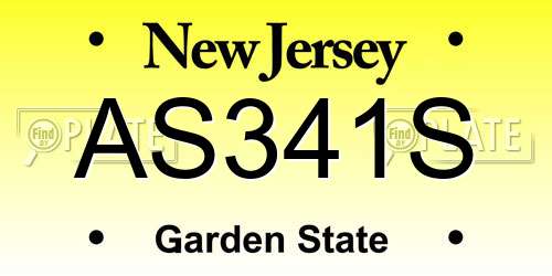 AS341S New Jersey License Plate