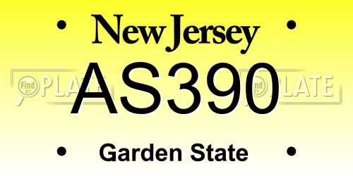 AS390 New Jersey License Plate