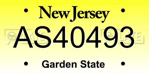 AS40493 New Jersey License Plate