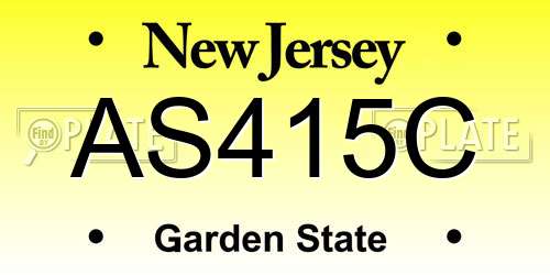 AS415C New Jersey License Plate