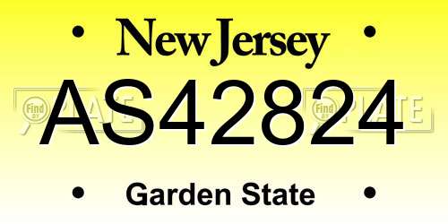 AS42824 New Jersey License Plate