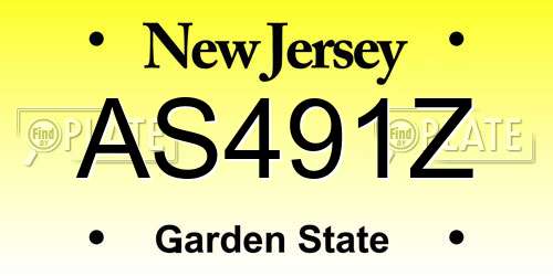 AS491Z New Jersey License Plate