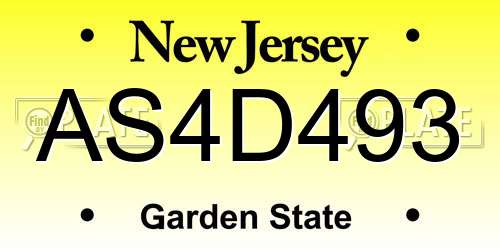 AS4D493 New Jersey License Plate