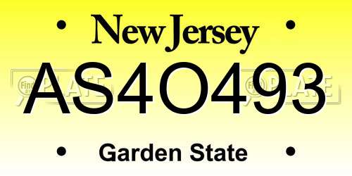 AS4O493 New Jersey License Plate