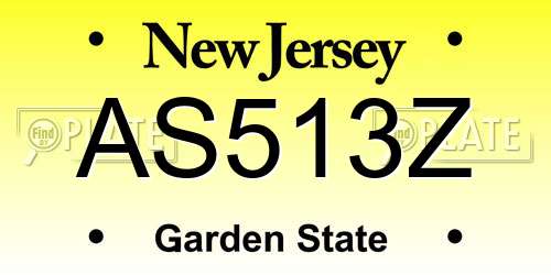 AS513Z New Jersey License Plate