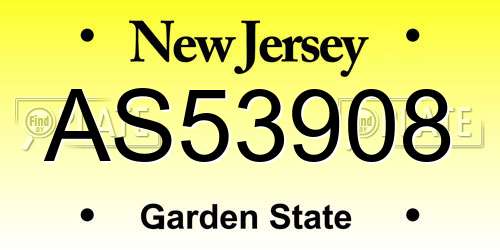 AS53908 New Jersey License Plate