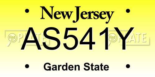 AS541Y New Jersey License Plate