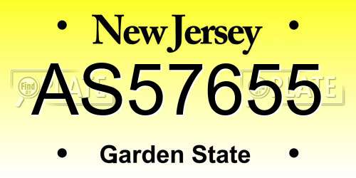 AS57655 New Jersey License Plate