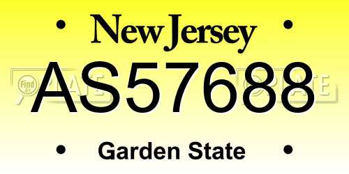 AS57688 New Jersey License Plate