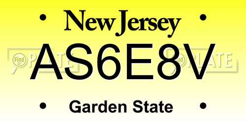 AS6E8V New Jersey License Plate