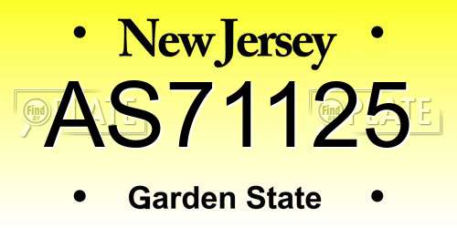 AS71125 New Jersey License Plate