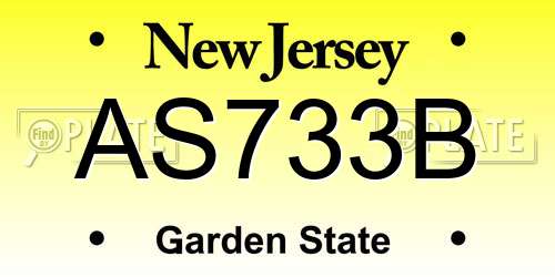 AS733B New Jersey License Plate