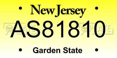 AS81810 New Jersey License Plate