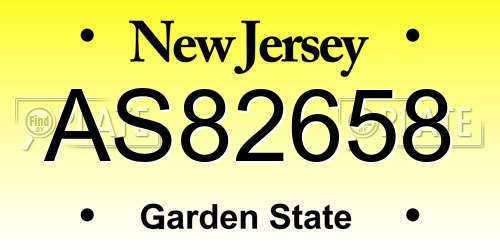 AS82658 New Jersey License Plate