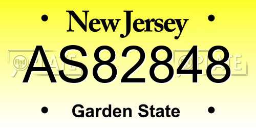 AS82848 New Jersey License Plate