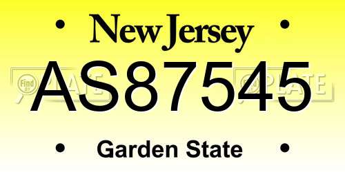 AS87545 New Jersey License Plate
