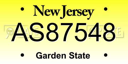 AS87548 New Jersey License Plate