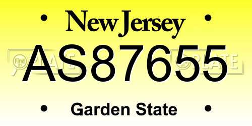 AS87655 New Jersey License Plate
