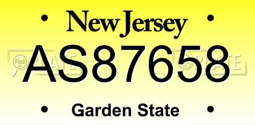 AS87658 New Jersey License Plate