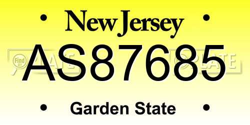 AS87685 New Jersey License Plate