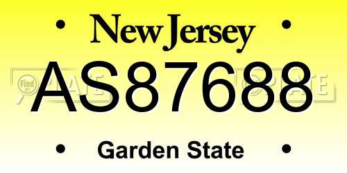 AS87688 New Jersey License Plate