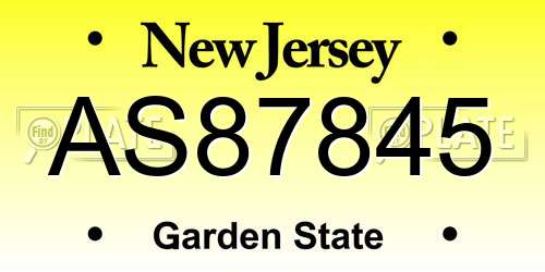 AS87845 New Jersey License Plate