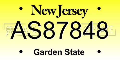 AS87848 New Jersey License Plate