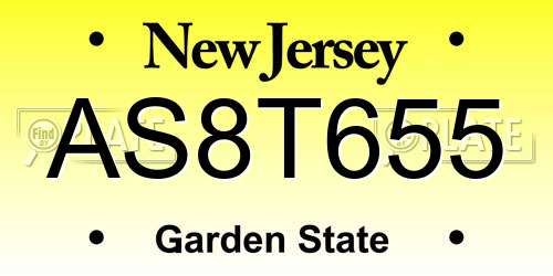 AS8T655 New Jersey License Plate