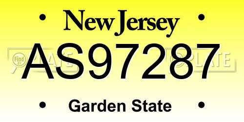 AS97287 New Jersey License Plate