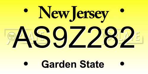 AS9Z282 New Jersey License Plate