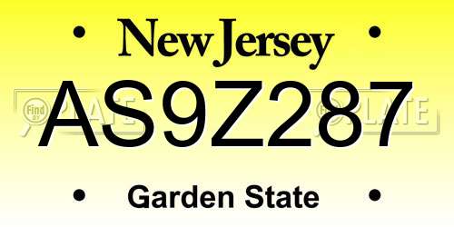 AS9Z287 New Jersey License Plate