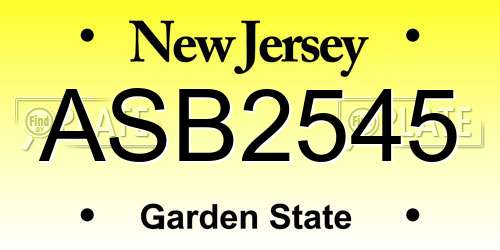 ASB2545 New Jersey License Plate