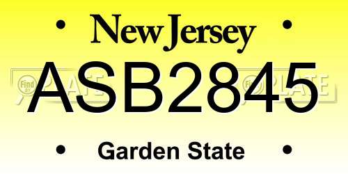 ASB2845 New Jersey License Plate