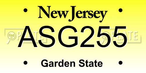 ASG255 New Jersey License Plate