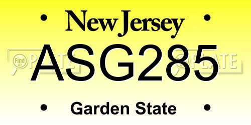ASG285 New Jersey License Plate
