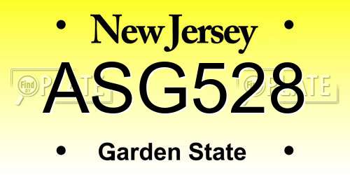ASG528 New Jersey License Plate