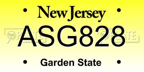 ASG828 New Jersey License Plate